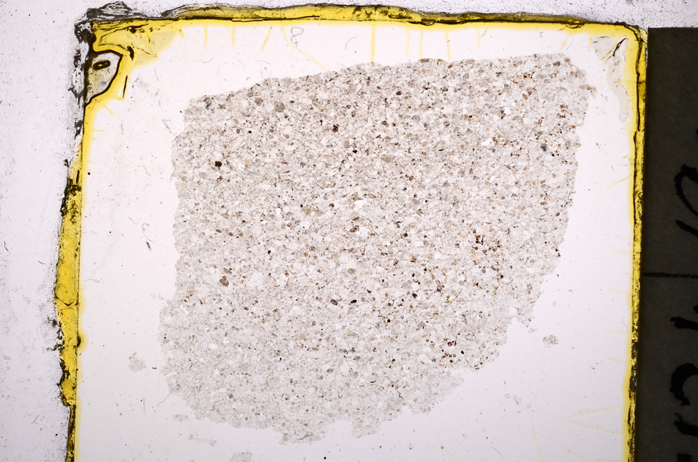 Plane Polarized, E20446