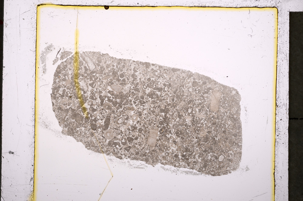 Plane Polarized, E20449