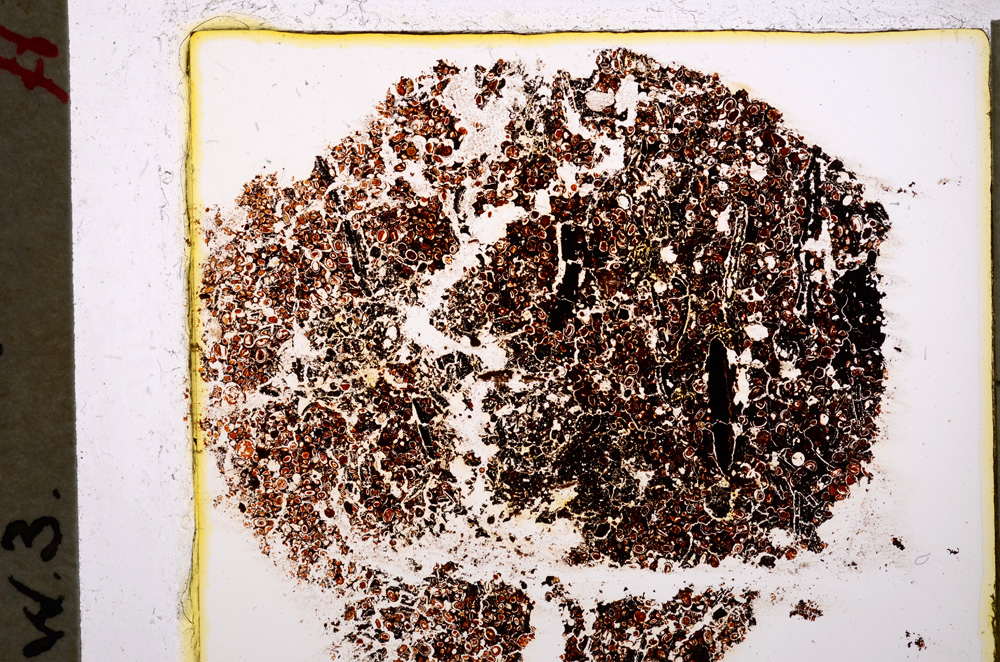 Plane Polarized, E20462