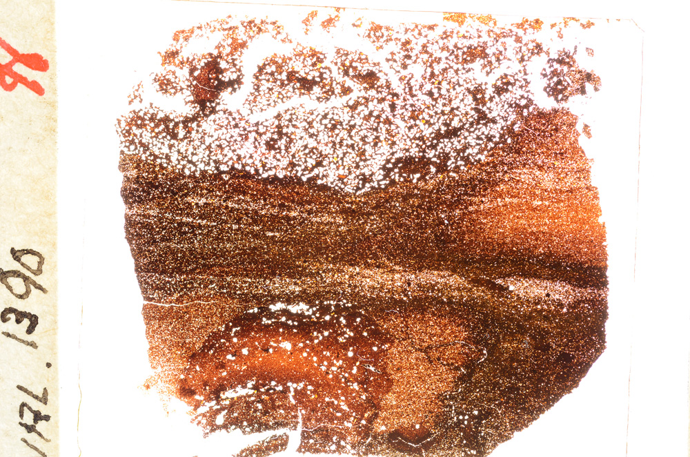 Plane Polarized, E20471