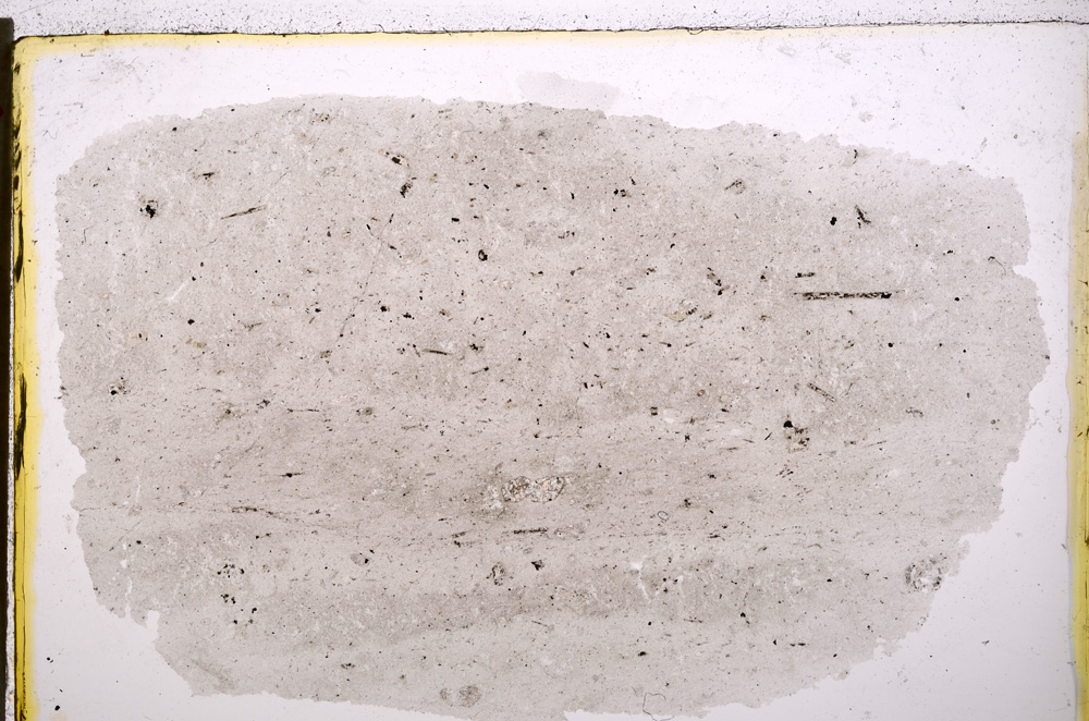 Plane Polarized, E20481