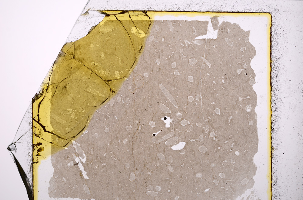 Plane Polarized, E20490