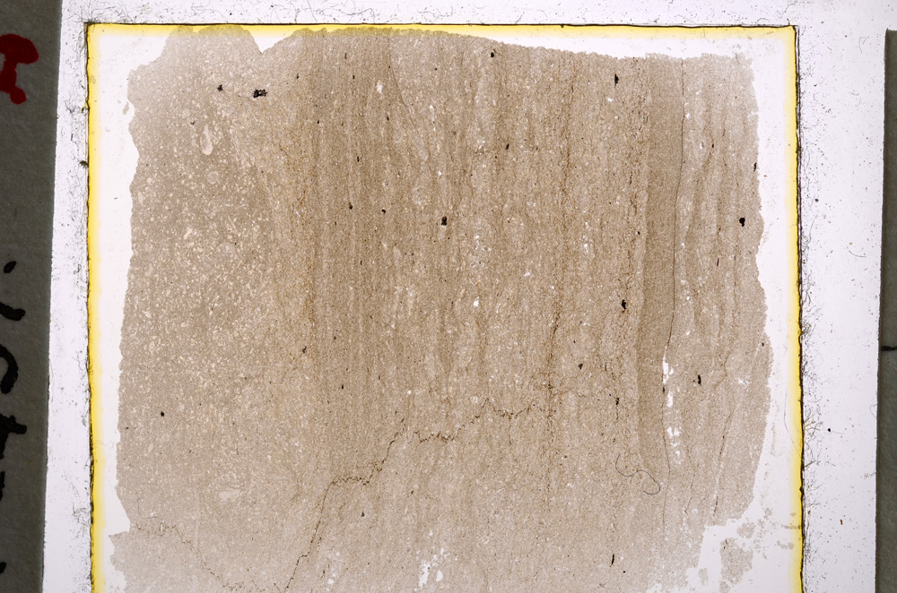 Plane Polarized, E20491