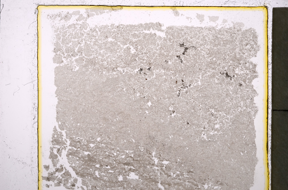 Plane Polarized, E20493