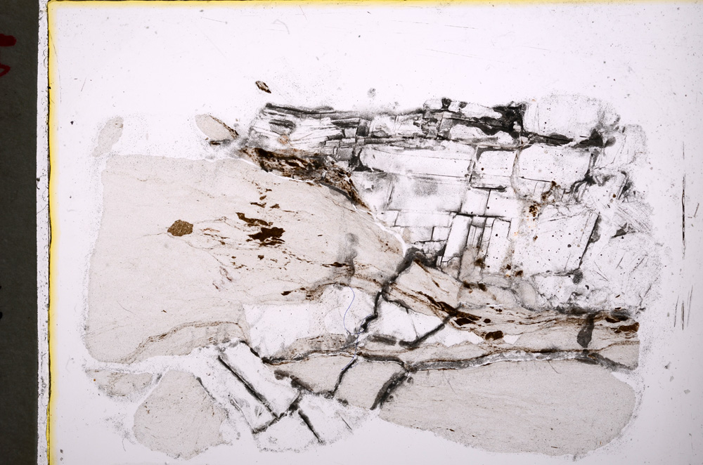 Plane Polarized, E20508