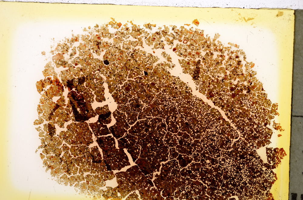 Plane Polarized, E20569