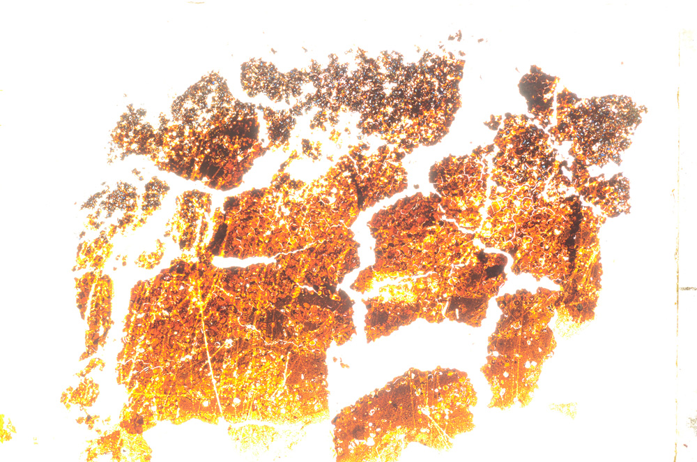 Plane Polarized, E20570