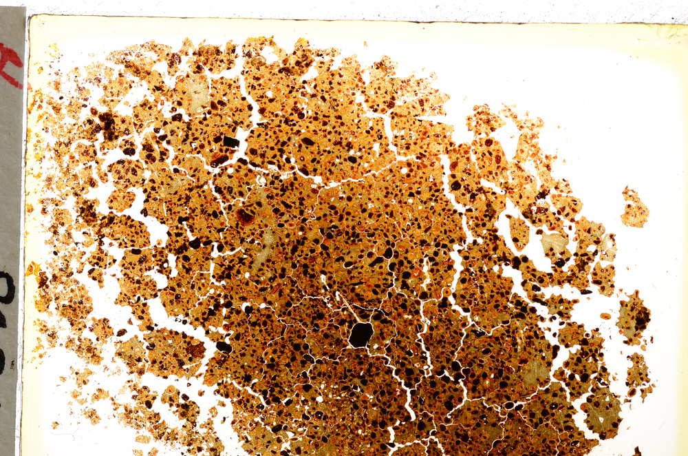 Plane Polarized, E20573