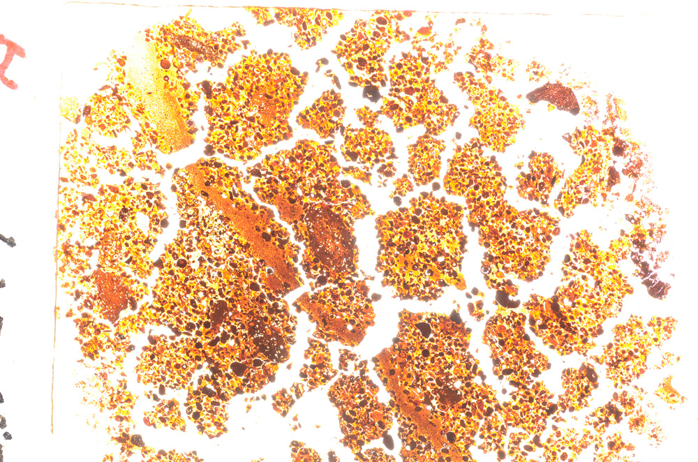 Plane Polarized, E20574