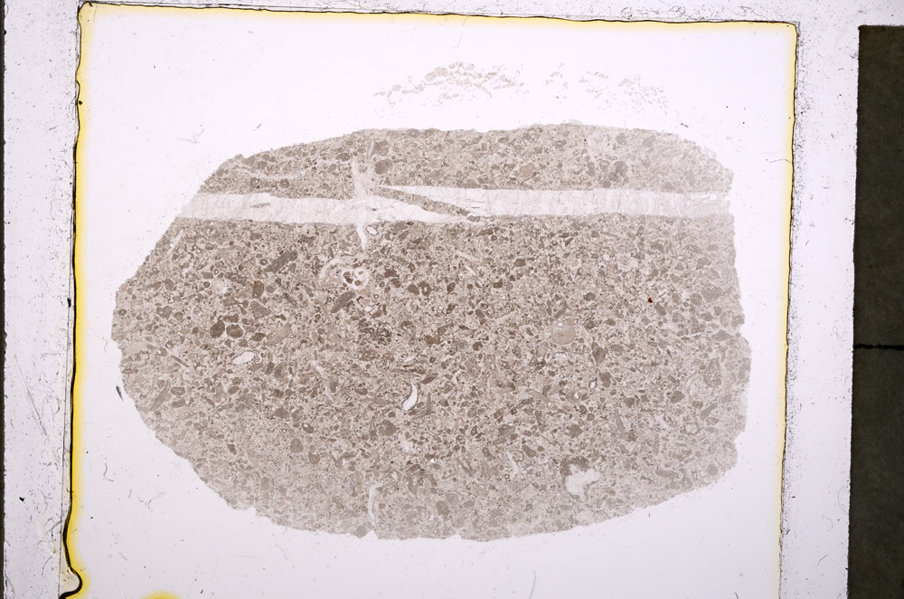 Plane Polarized, E20584