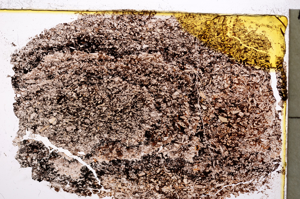 Plane Polarized, E20586