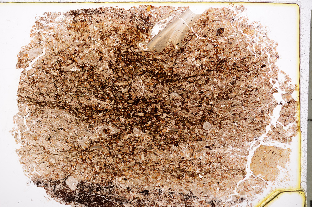 Plane Polarized, E20587