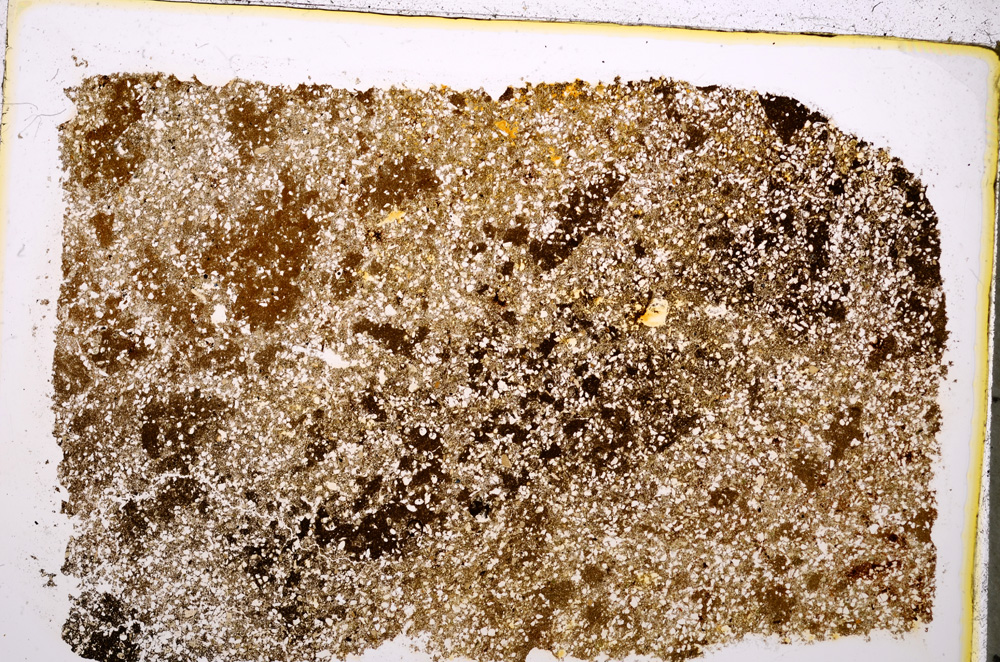 Plane Polarized, E20598