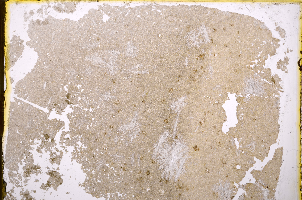 Plane Polarized, E20616