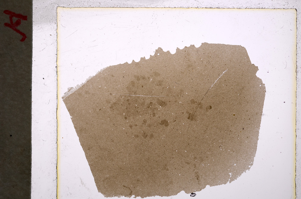 Plane Polarized, E20650