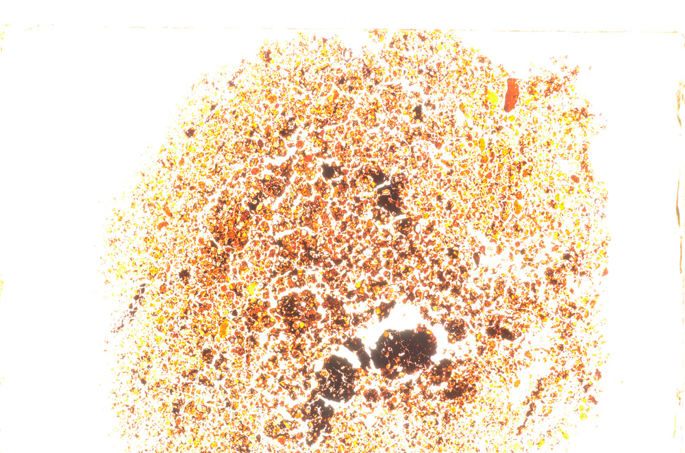 Plane Polarized, E20669