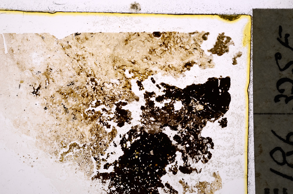 Plane Polarized, E20672/A