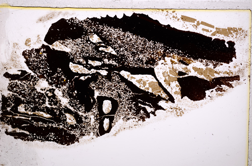 Plane Polarized, E20676