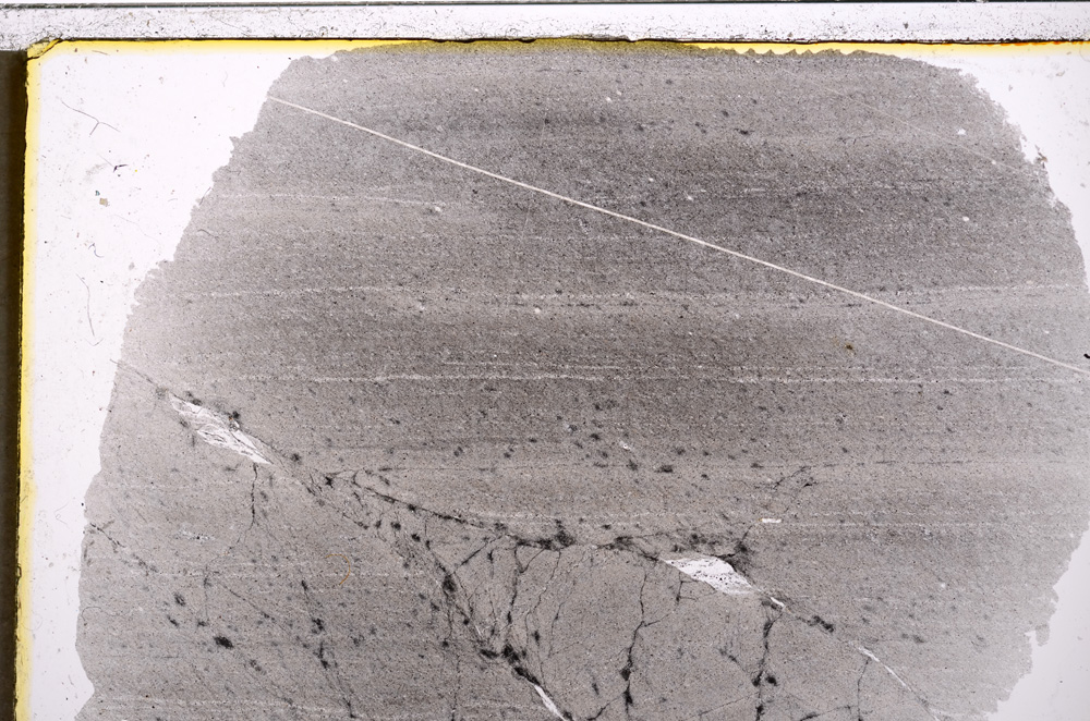 Plane Polarized, E20693