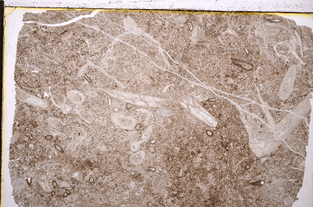 Plane Polarized, E20694