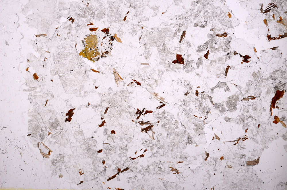 Plane Polarized, E20729