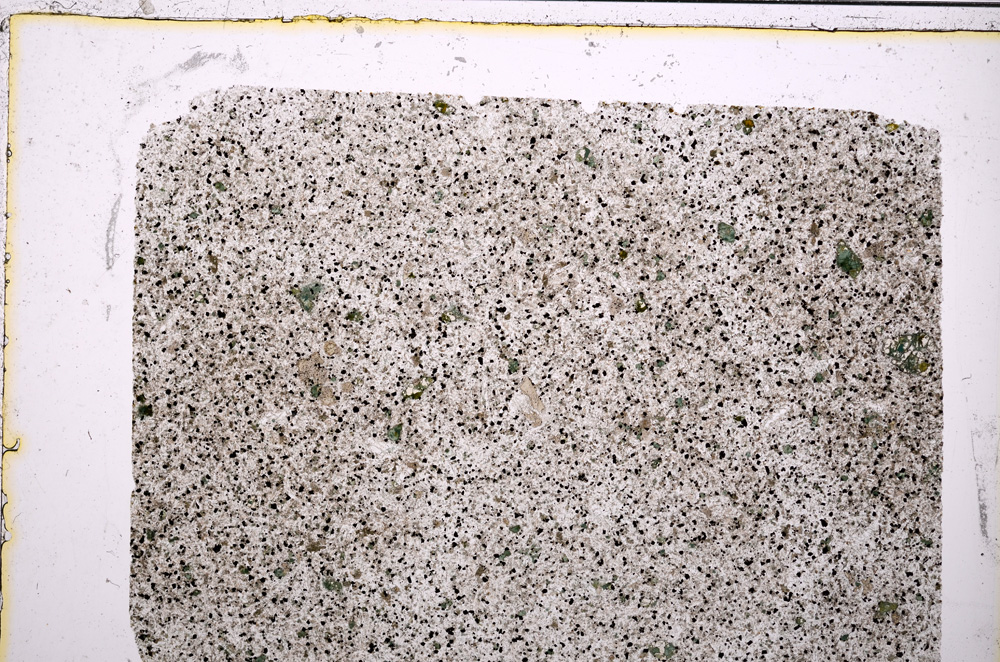 Plane Polarized, E20732