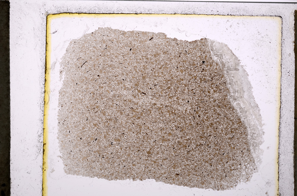 Plane Polarized, E20742