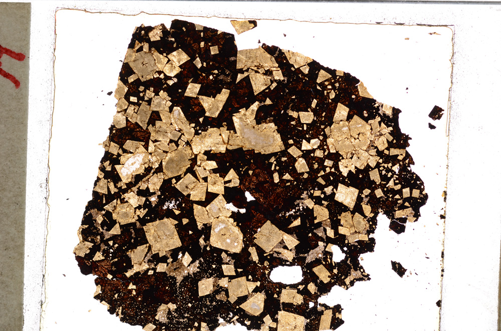 Plane Polarized, E20743