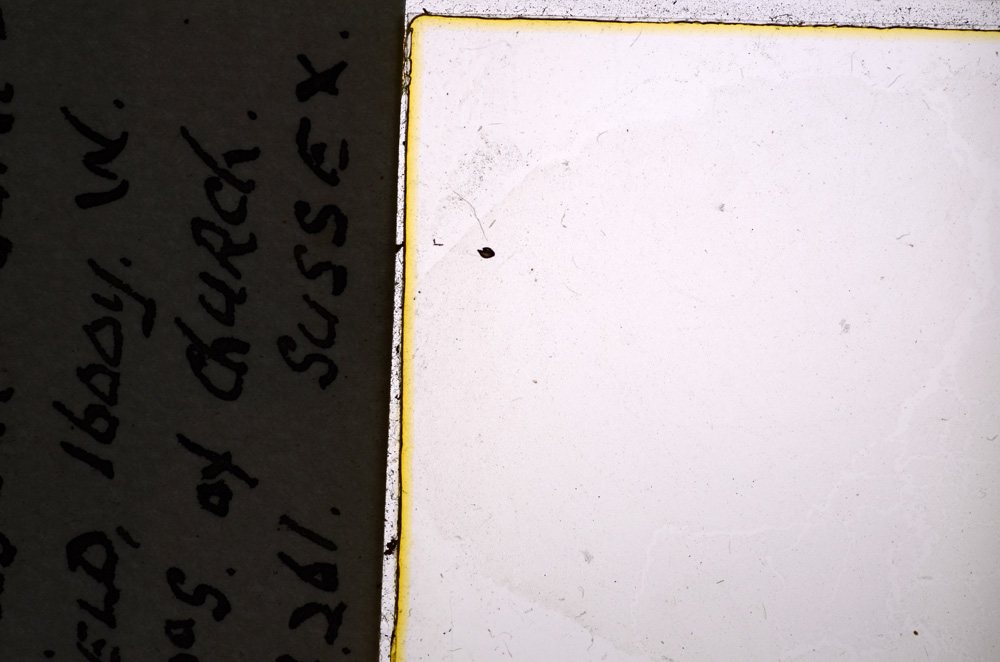 Plane Polarized, E20768