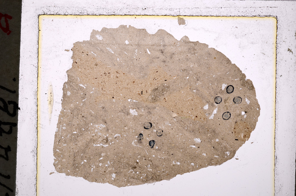 Plane Polarized, E20779