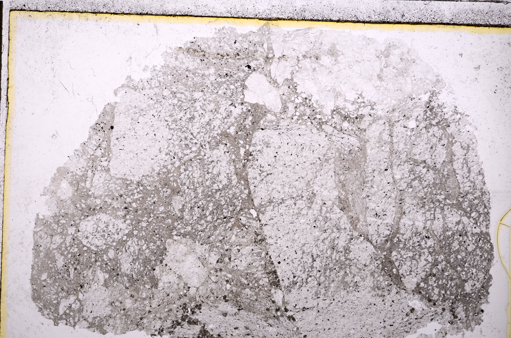 Plane Polarized, E20781