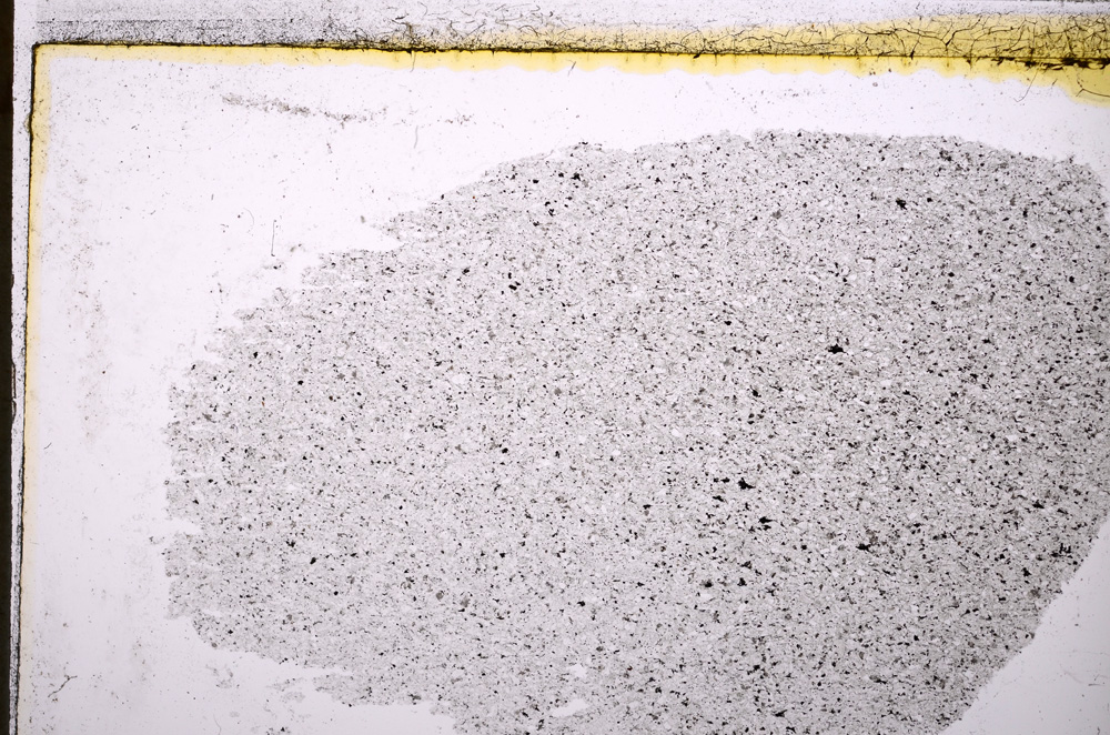 Plane Polarized, E20783