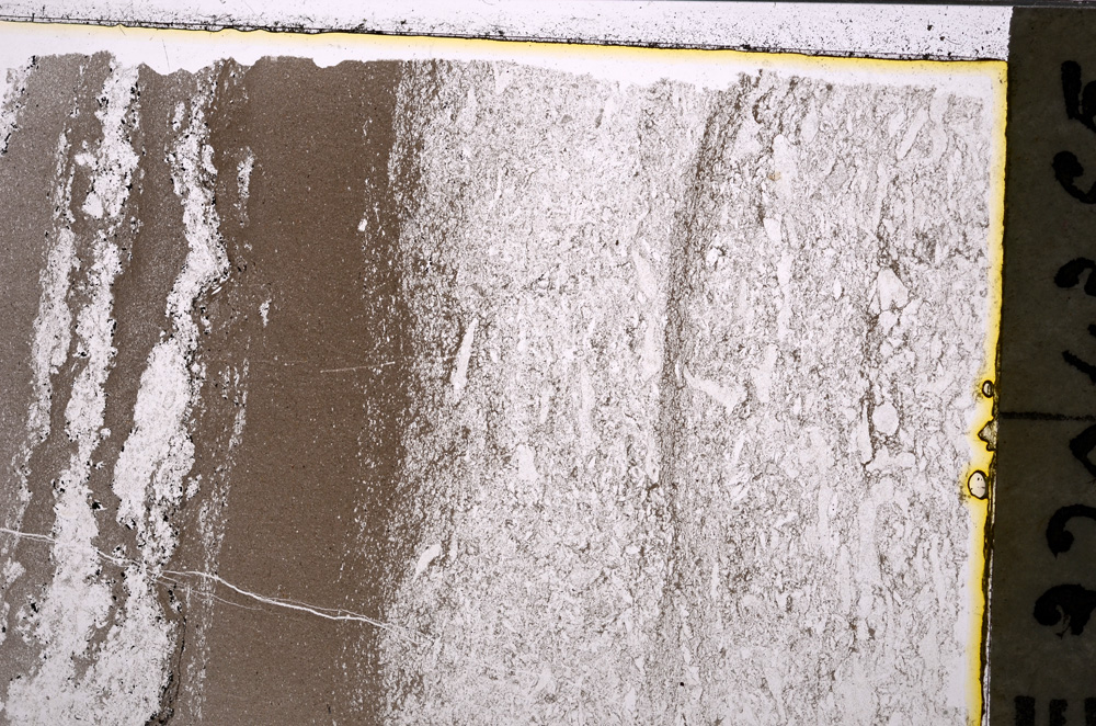Plane Polarized, E20791