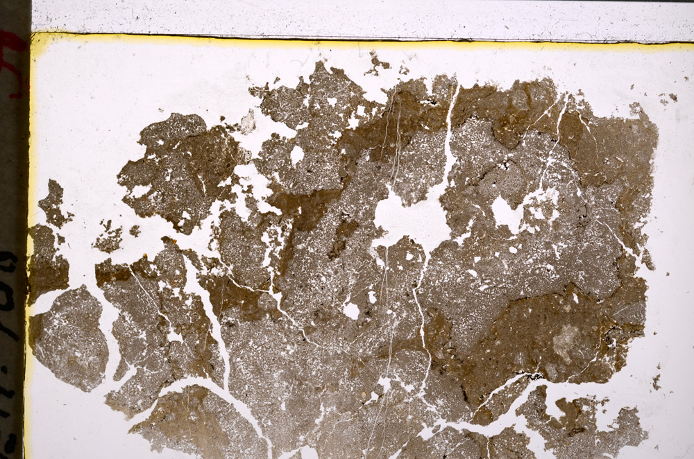 Plane Polarized, E20793