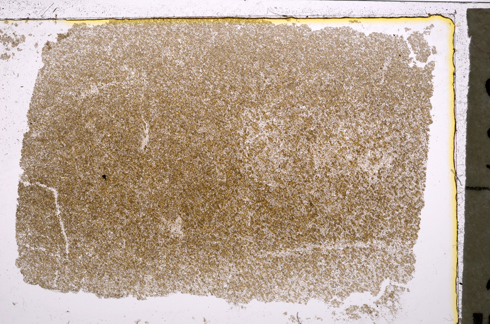 Plane Polarized, E20794