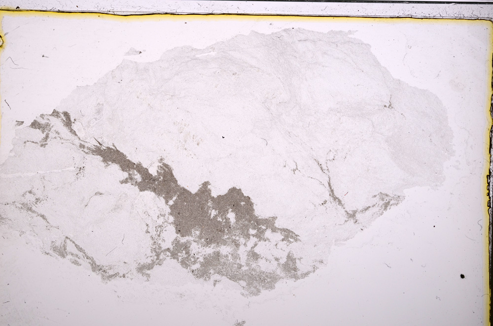 Plane Polarized, E20804