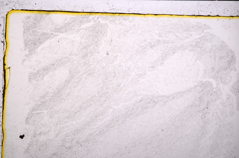 Plane Polarized, E20805