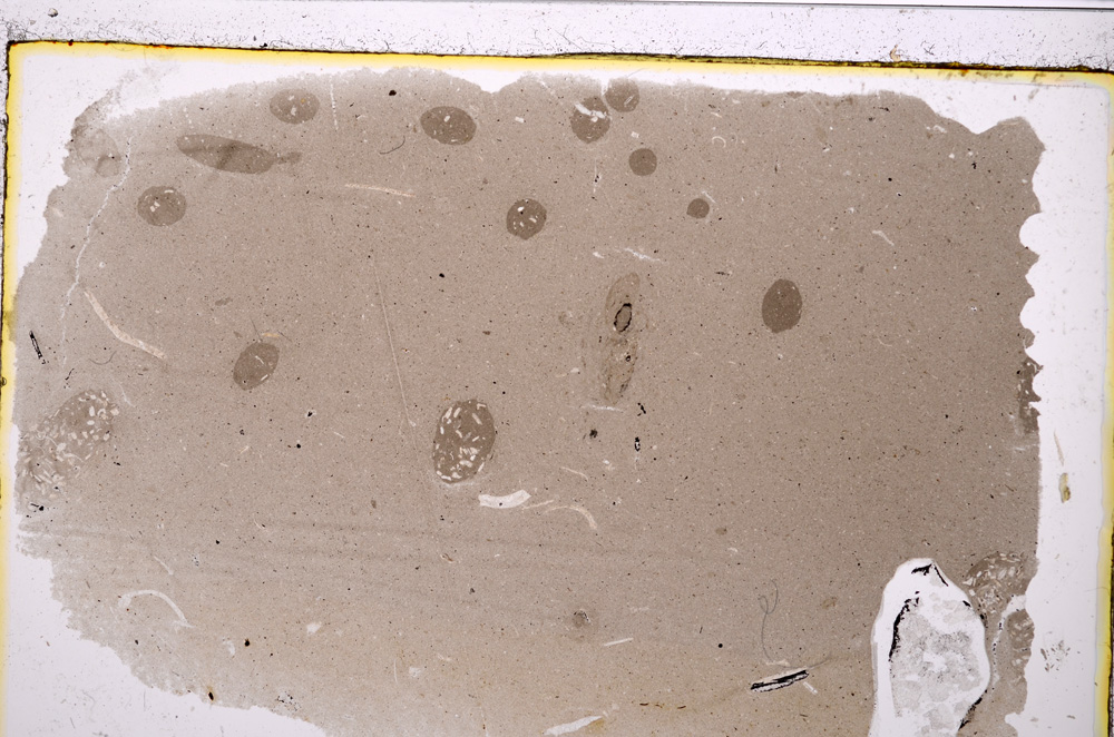 Plane Polarized, E20830