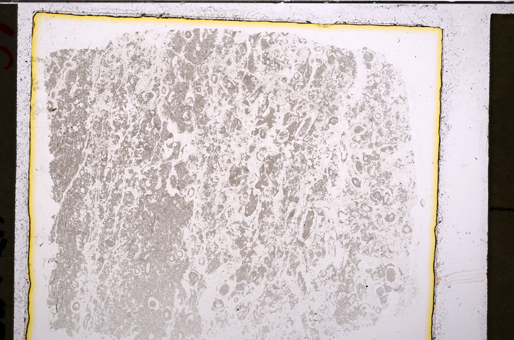 Plane Polarized, E20836