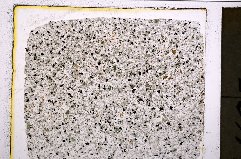 Plane Polarized, E20839