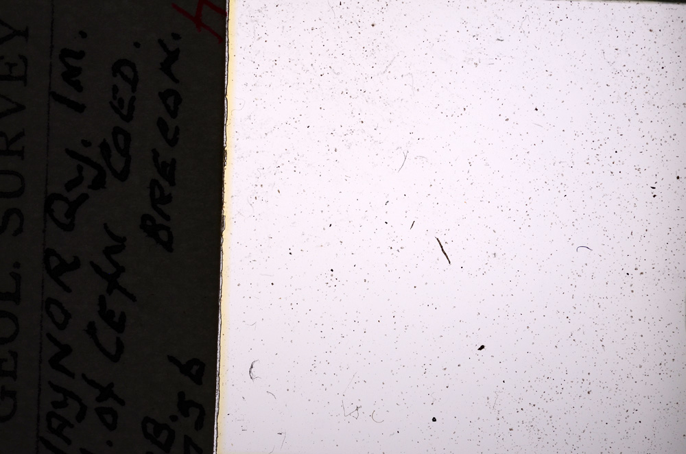 Plane Polarized, E20841/A