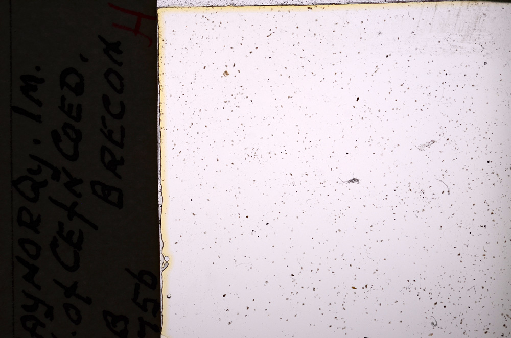 Plane Polarized, E20841/B
