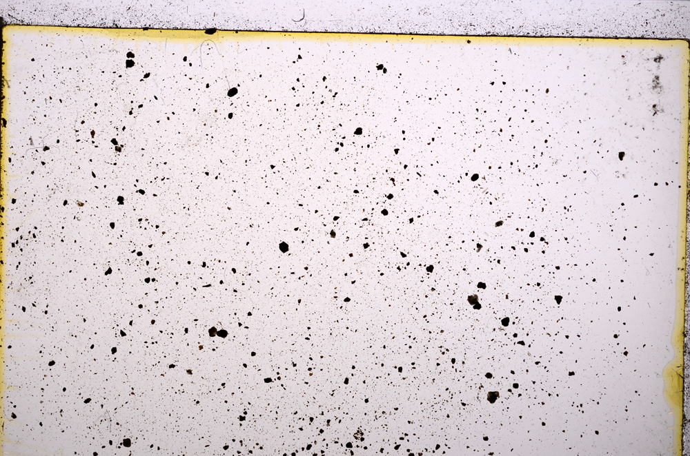 Plane Polarized, E20877