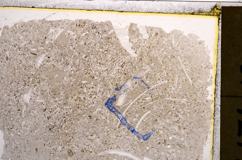 Plane Polarized, E20903