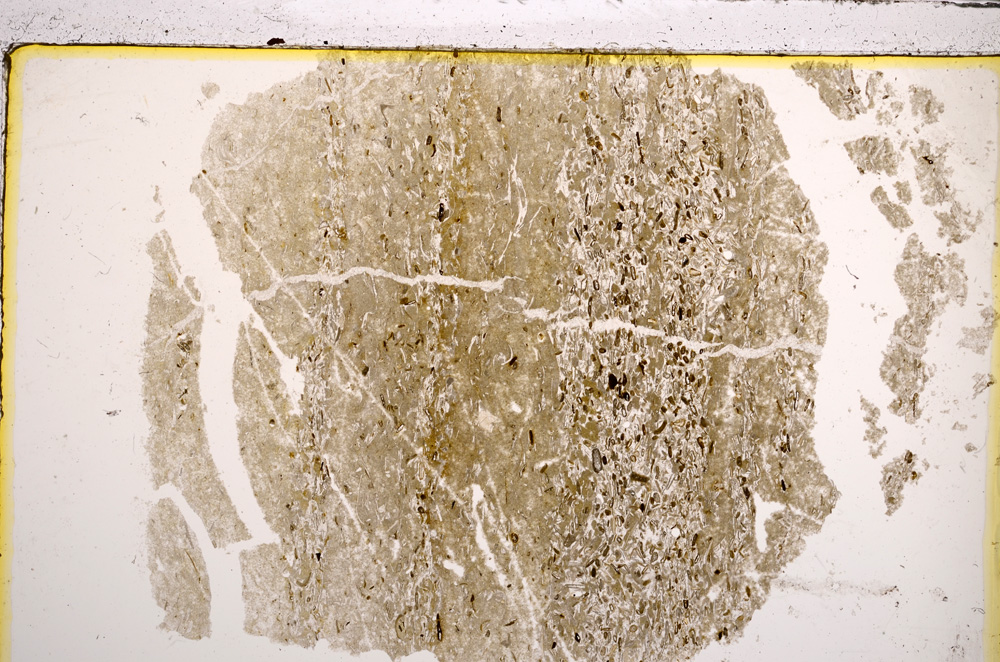 Plane Polarized, E20918