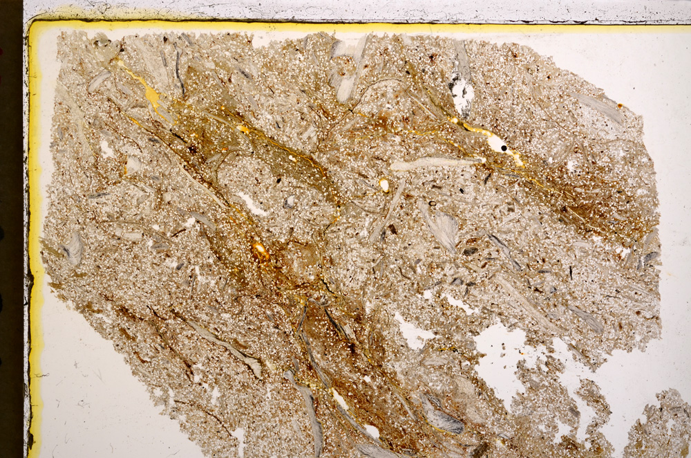 Plane Polarized, E20919