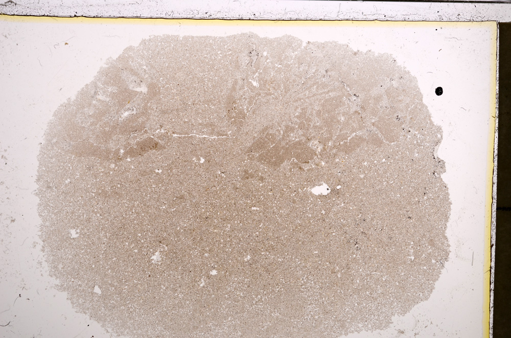 Plane Polarized, E20926