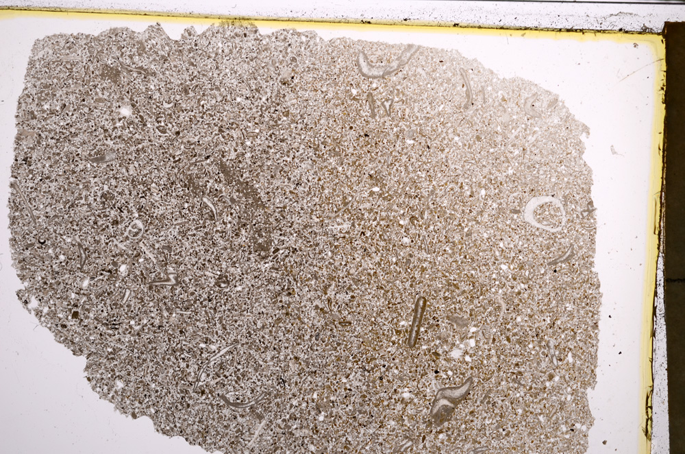 Plane Polarized, E20963