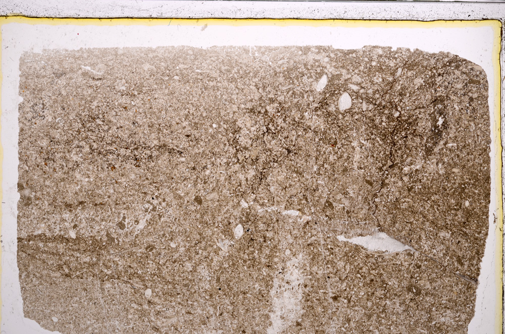Plane Polarized, E20987