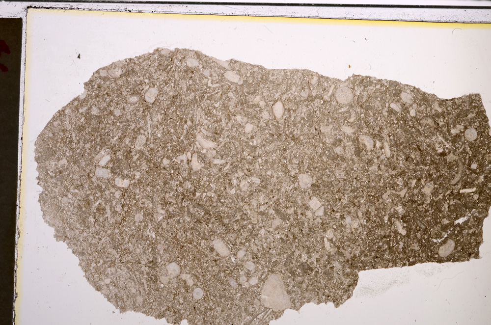 Plane Polarized, E20993